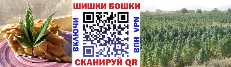как найти закладки Братск Canna-Cookies конопля