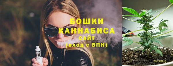 мяу мяу кристалл Няндома