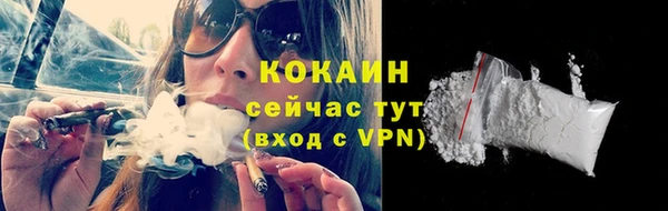 ГАЛЛЮЦИНОГЕННЫЕ ГРИБЫ Новозыбков