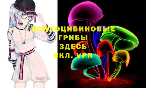 соль ск Новодвинск