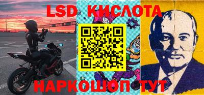 шишки Будённовск