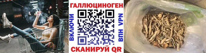 Псилоцибиновые грибы Psilocybine cubensis  наркотики  Братск 