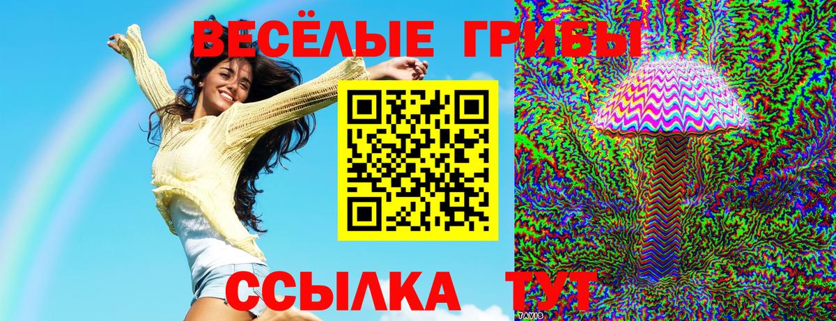 Лсд 25 Братск