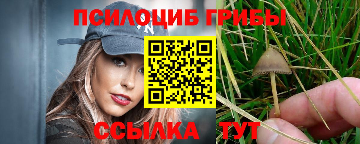 Галлюциногенные грибы ЛСД  Братск 
