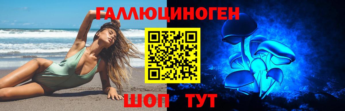 Псилоцибиновые грибы мицелий  Галлюциногенные грибы GOLDEN TEACHER  Братск  Вход с VPN 